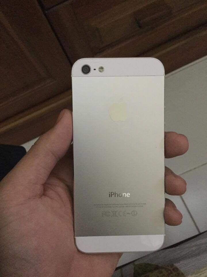 15822283_790859667728647_1478301774_n.jpg