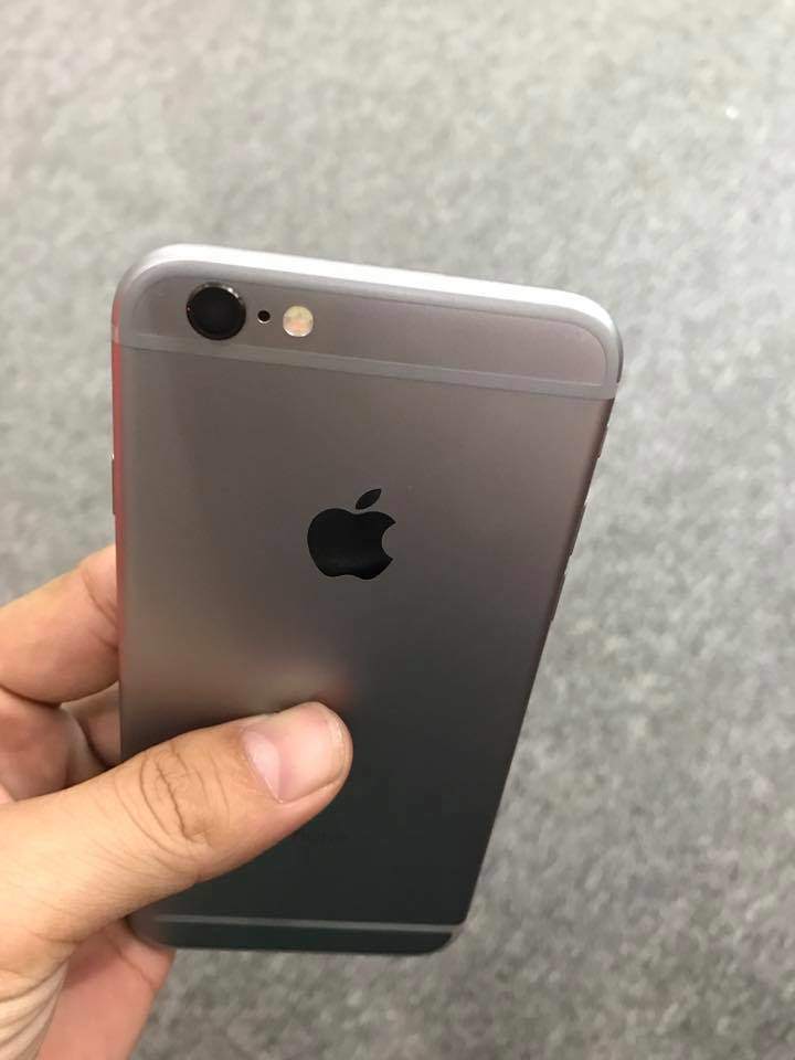 15822591_1523363374340783_2414634039580532569_n.jpg