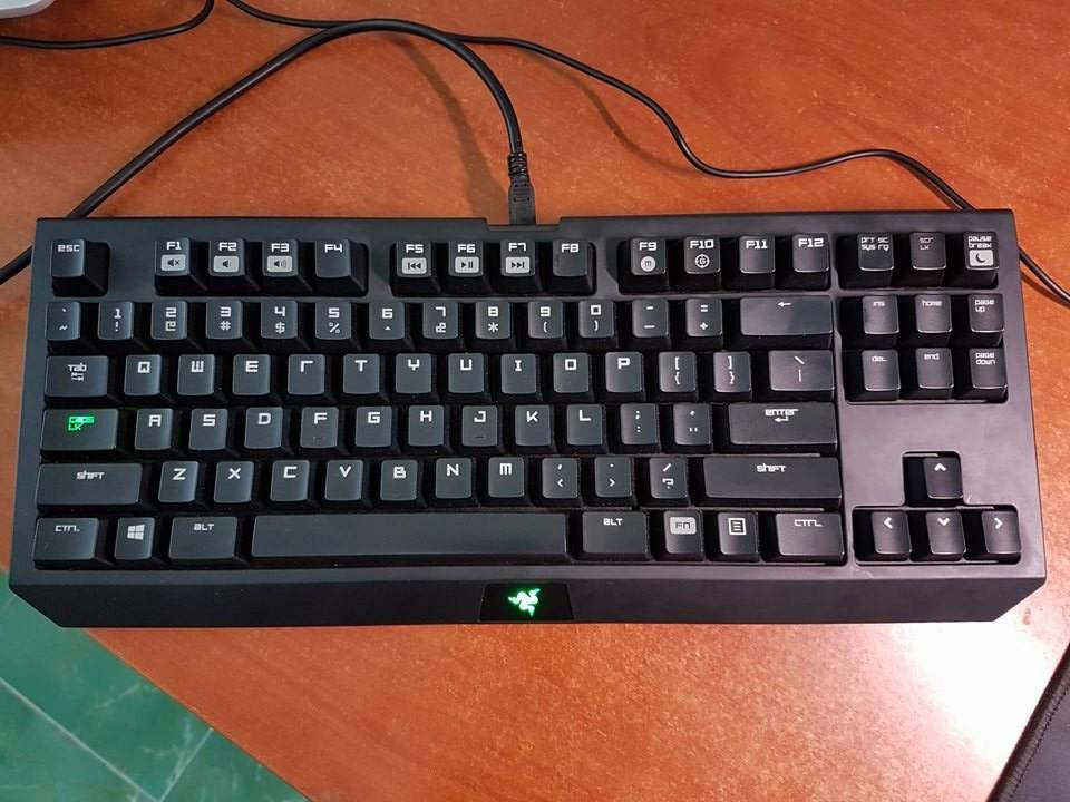 15935754_1253492941362981_176438817_n.jpg