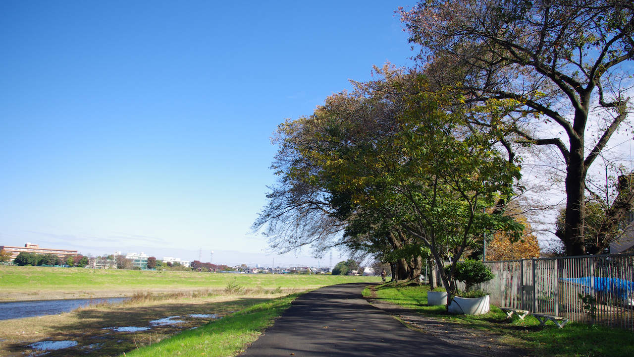 IMGP2565-Resize.jpeg