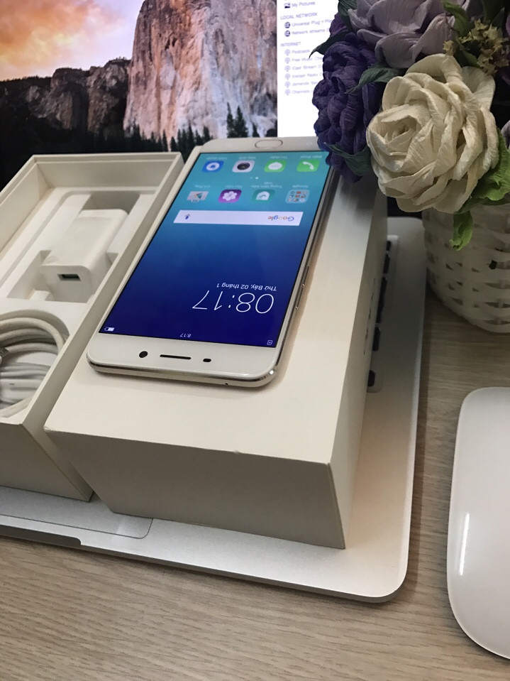 1483859769536_9073.jpg
