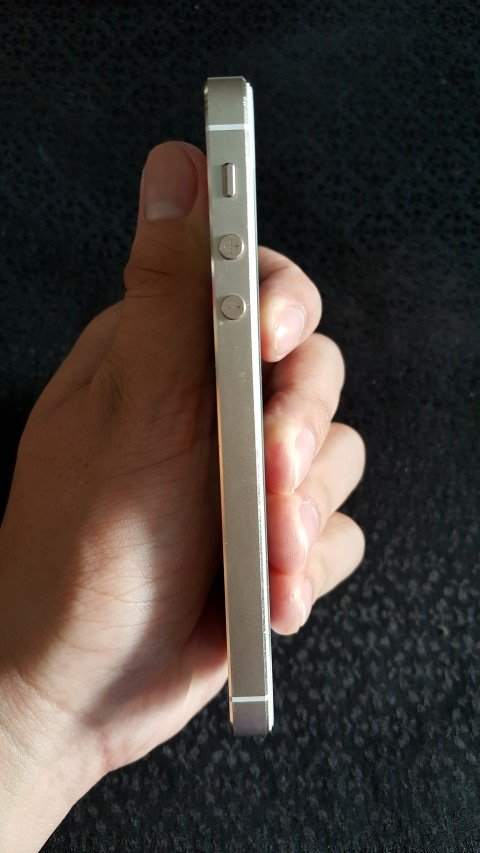 20161127_071333 (Small).jpg