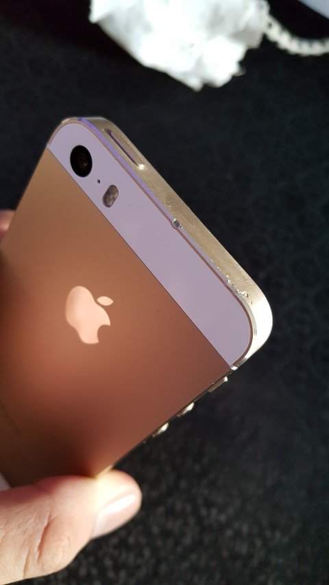 20161127_071351 (Small).jpg