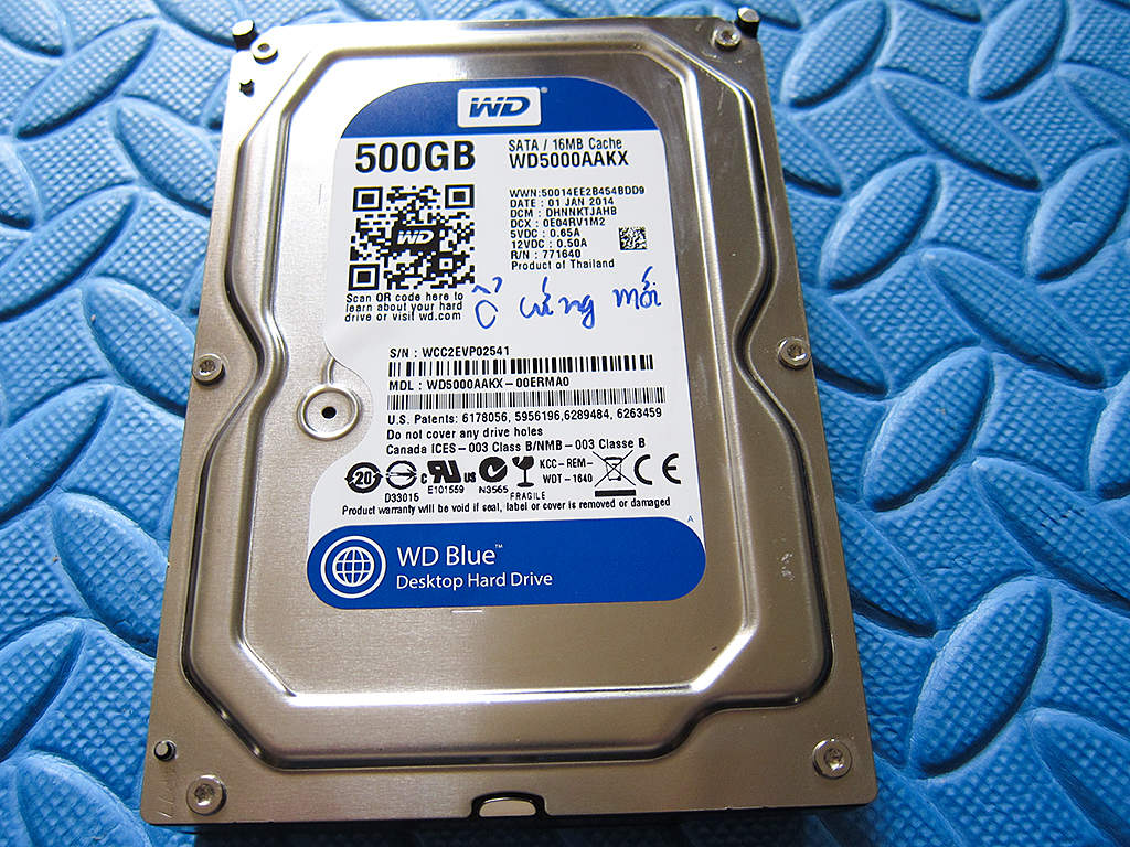 wd.jpg