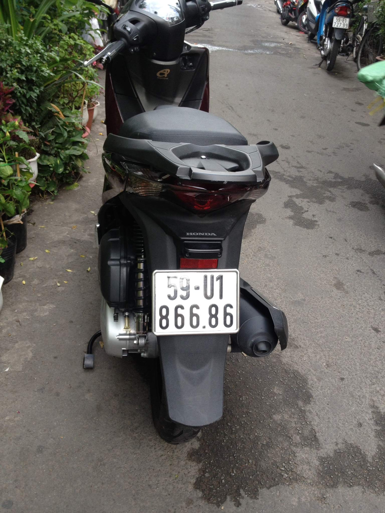 image.jpeg
