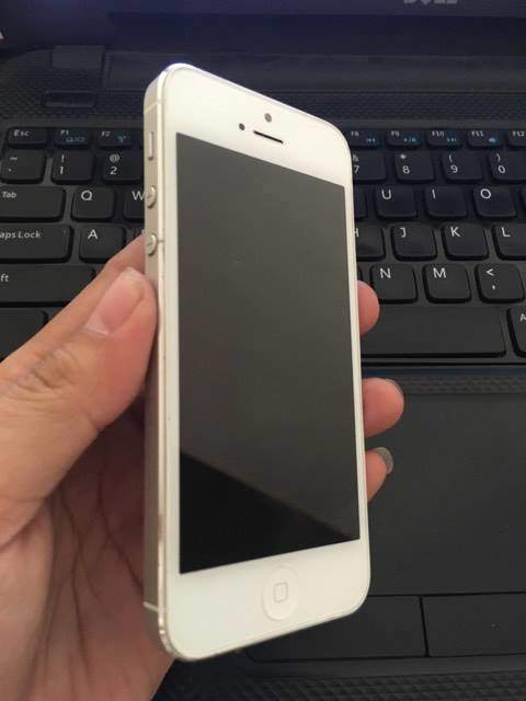 16699940_1589397944403992_1183834365_n.jpg