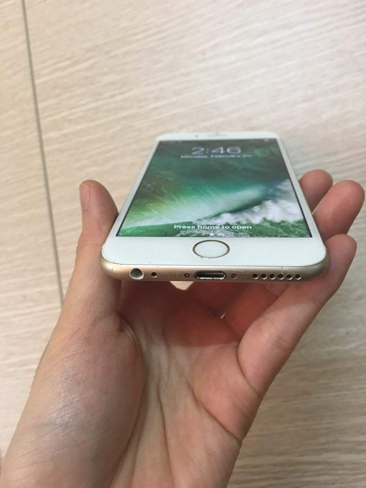 z590011479867_4282c0a0ed1e8c23e94ecdfc2e3ae821.jpg