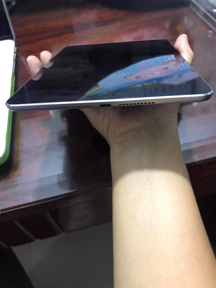 16640899_1227692330640031_8247721501144438418_n.jpg