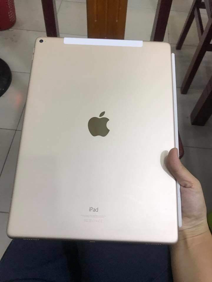 16939232_1118930058235743_1108711271331037547_n.jpg