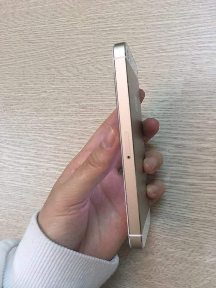 z600733691946_500212022468365d6791c290a20e3489.jpg