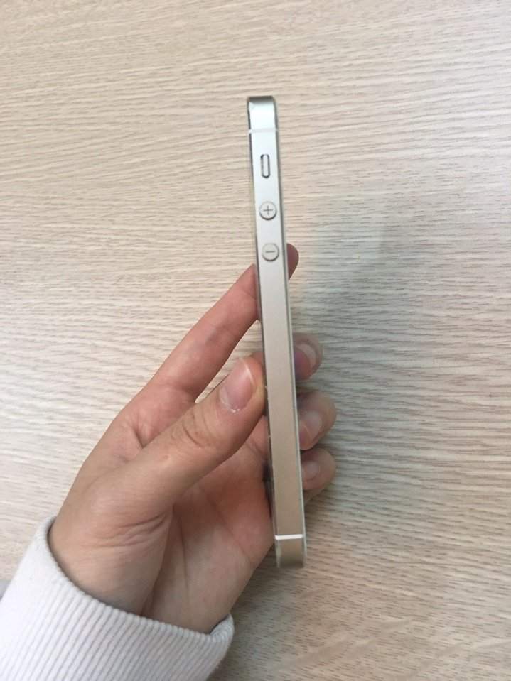 z600733693827_a411f6e78b0b968a59821b7c656691c0.jpg