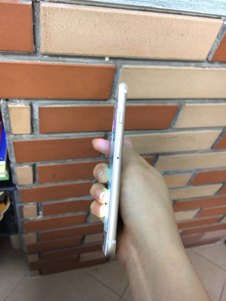 16807446_1377124815692544_2117014682506636231_n.jpg