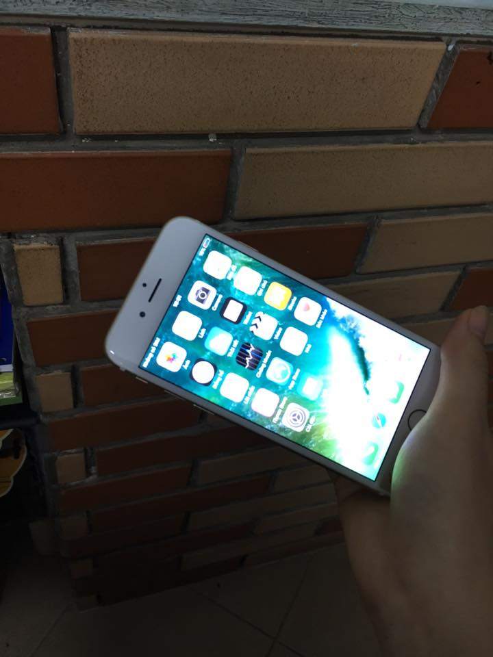 16832098_1377124805692545_7493051098701629404_n.jpg