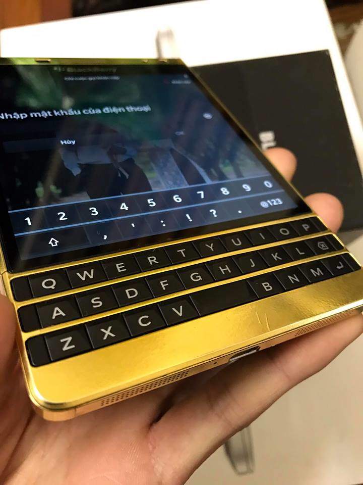 15723926_1677849292240951_926761119_n.jpg