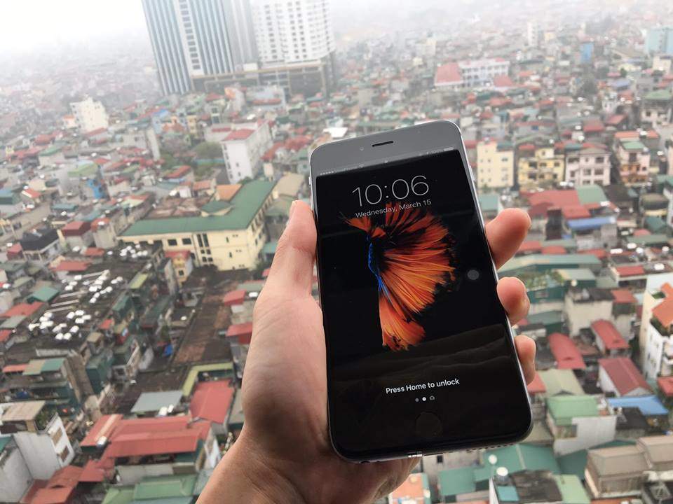 17328259_627432110798653_1032211057_n.jpg