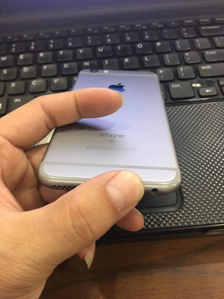 17352060_1630122973664822_7749392428385233834_n.jpg