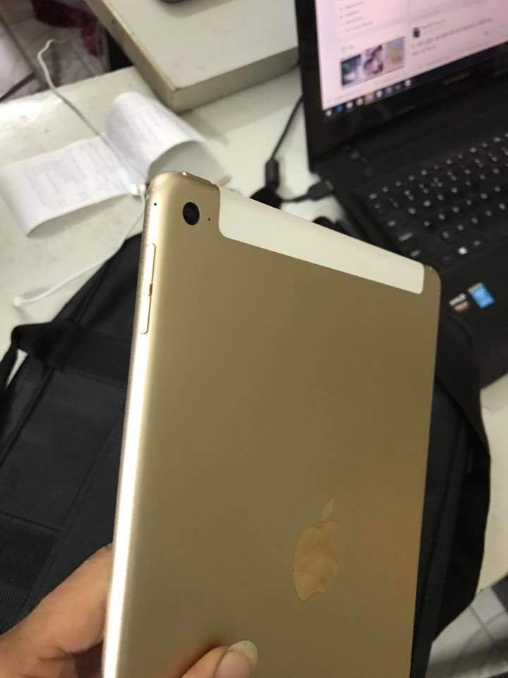 e222.jpg