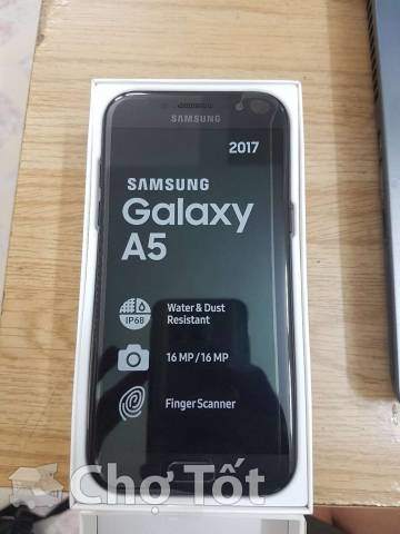 4370821653.jpg