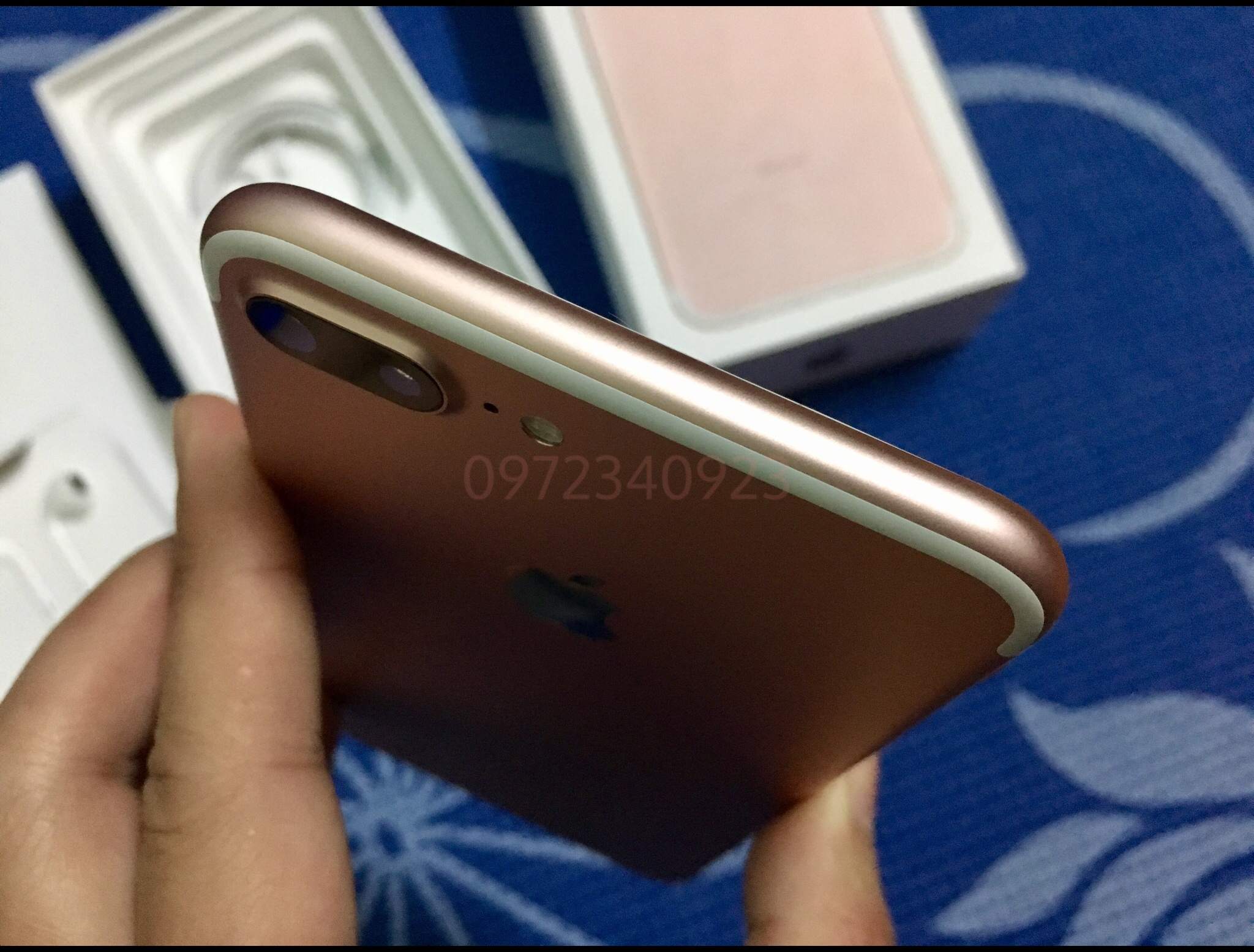Watermarked5(2017-03-20-1351).jpg