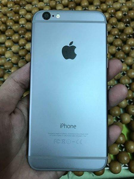 17457666_1406922879377826_6298906059803899583_n.jpg