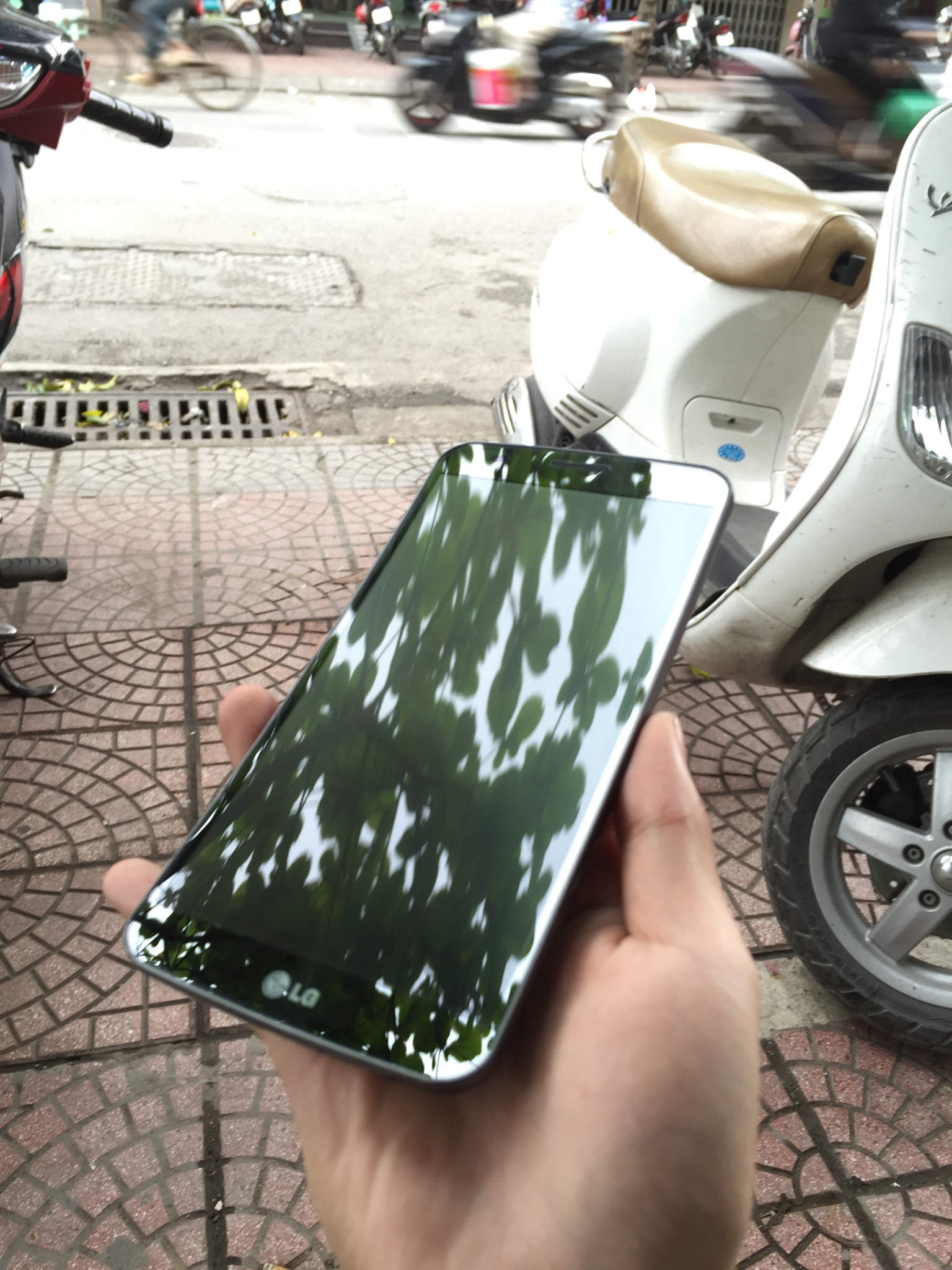 z617414097205_b9889273526898e8aa37176c628ce088 - Copy.jpg