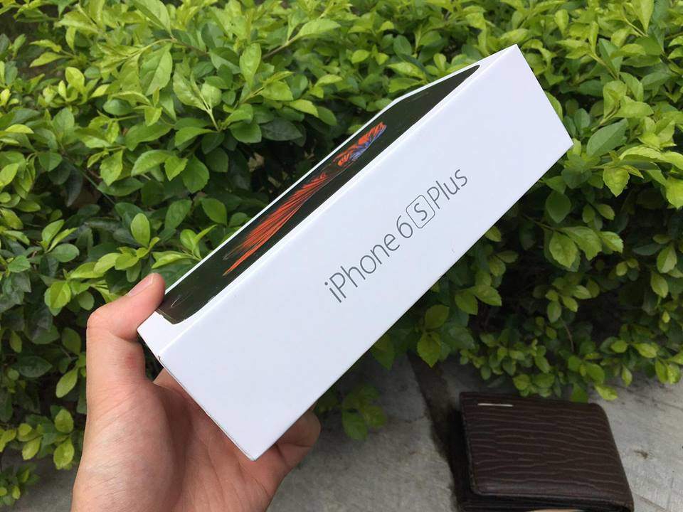 17495631_630891420452722_594183536_n.jpg