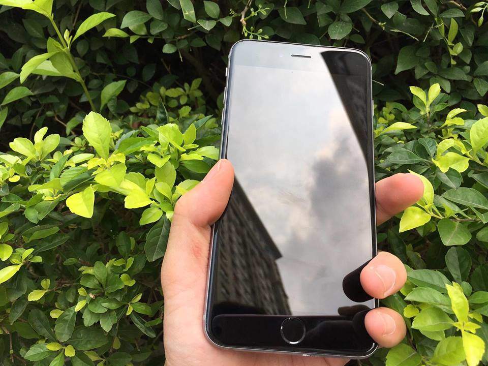 17495694_630891423786055_102335644_n.jpg