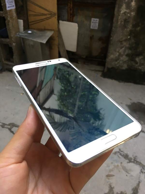 2017-04-01 07.42.50.jpg