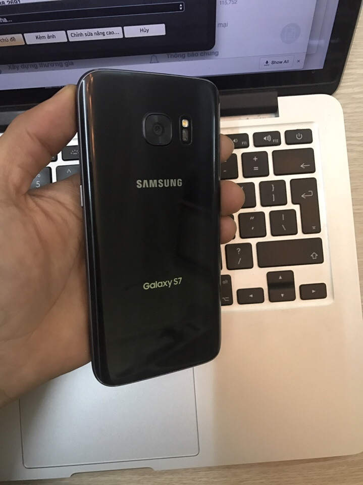 1491106745353_32393.jpg