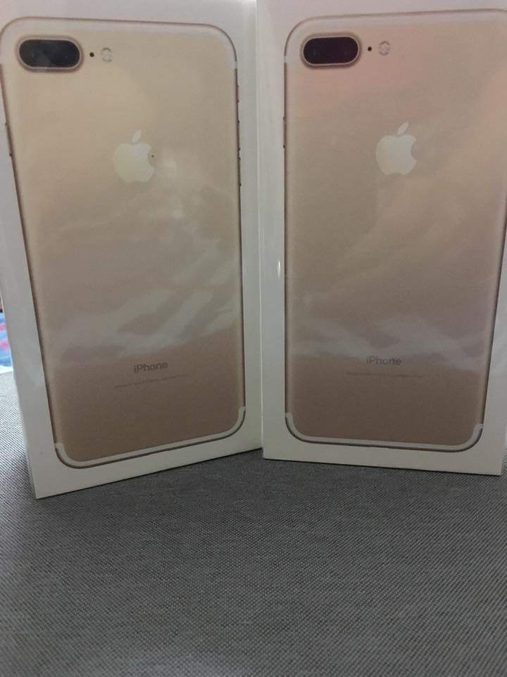 17796562_1738778483079831_6059549544113192550_n.jpg