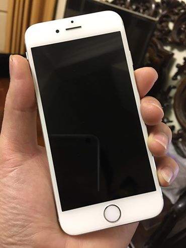 17796432_1839880702704475_8787074760108765219_n.jpg
