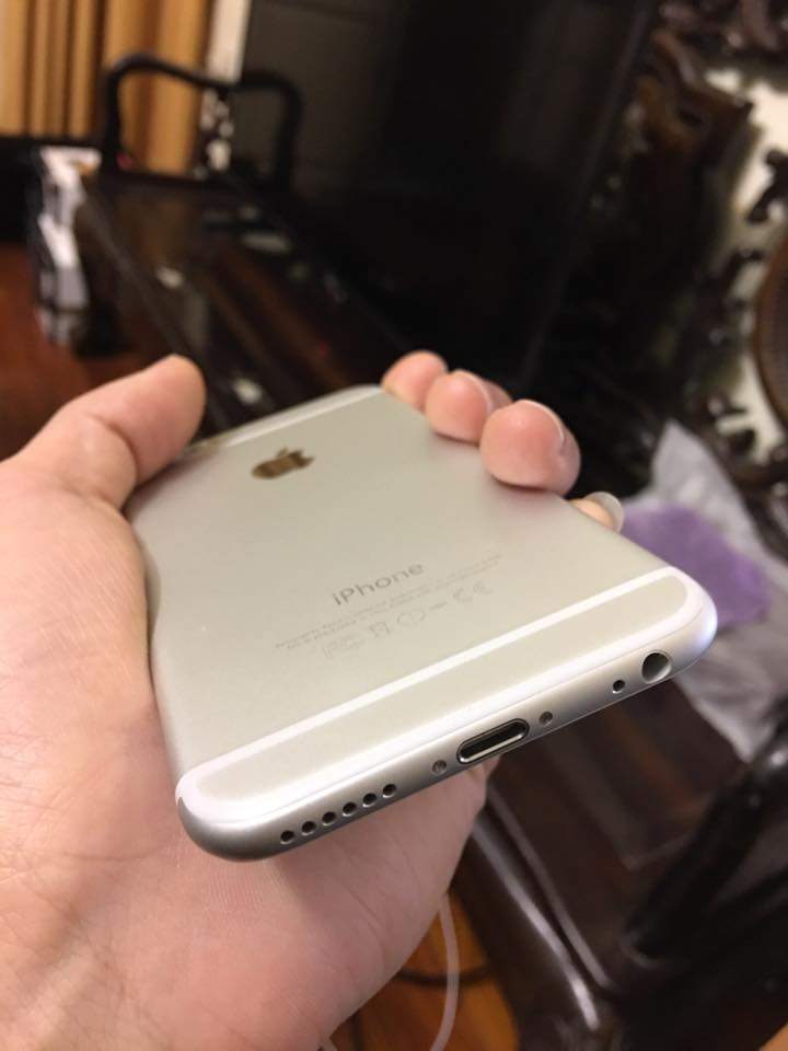 17800483_1839880716037807_6128471380503977971_n.jpg