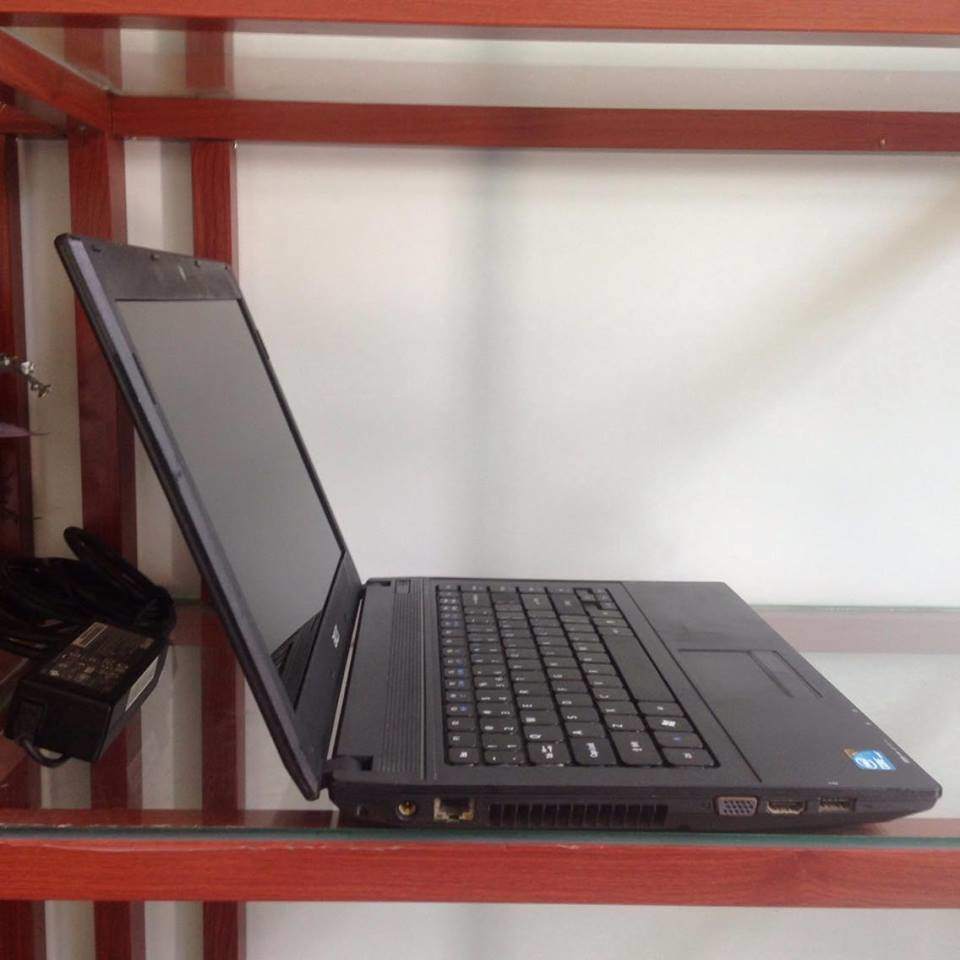 acer2.jpg
