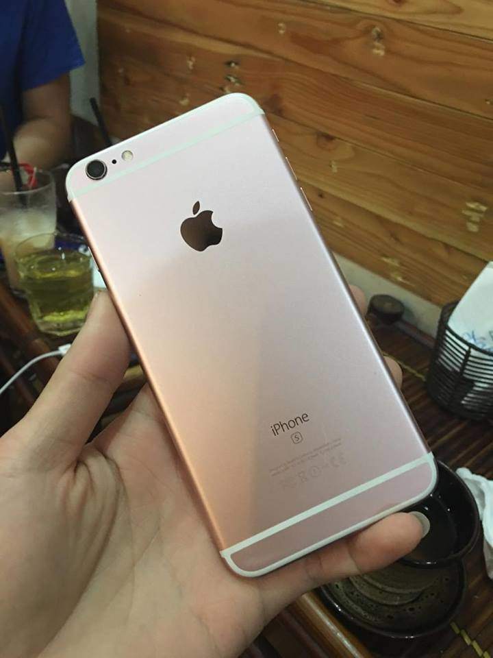 17842085_1845126748846537_178519201_n.jpg