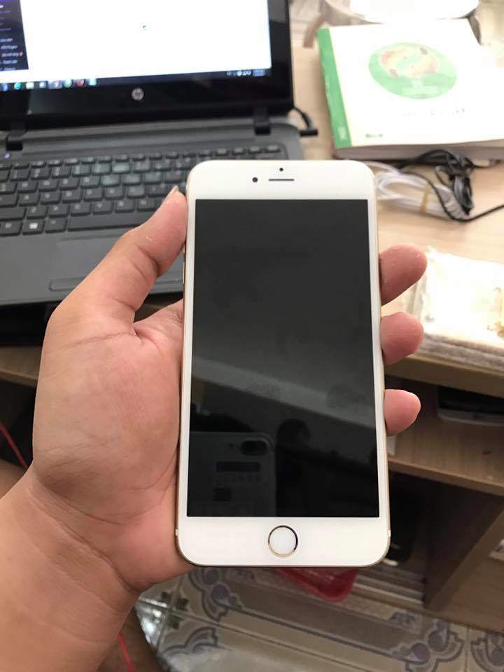 17626204_1883985125192420_6023284005860207929_n.jpg