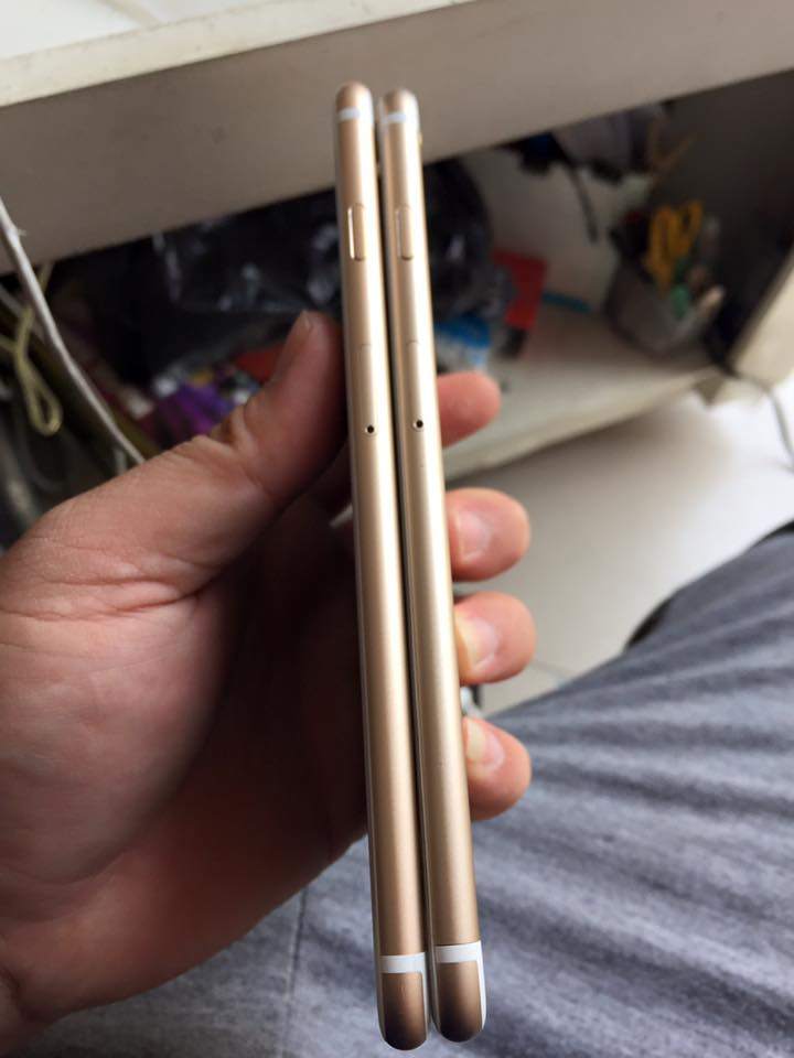 17098220_10208770675848396_9115284762582461961_n.jpg