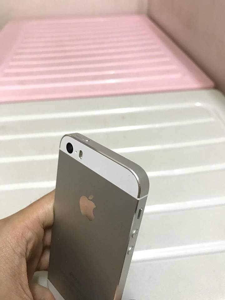 17888019_1669739749708288_1973691478_n.jpg