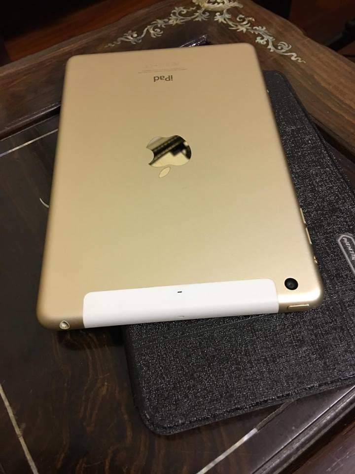 18034684_1857161594309719_1677964593_n.jpg