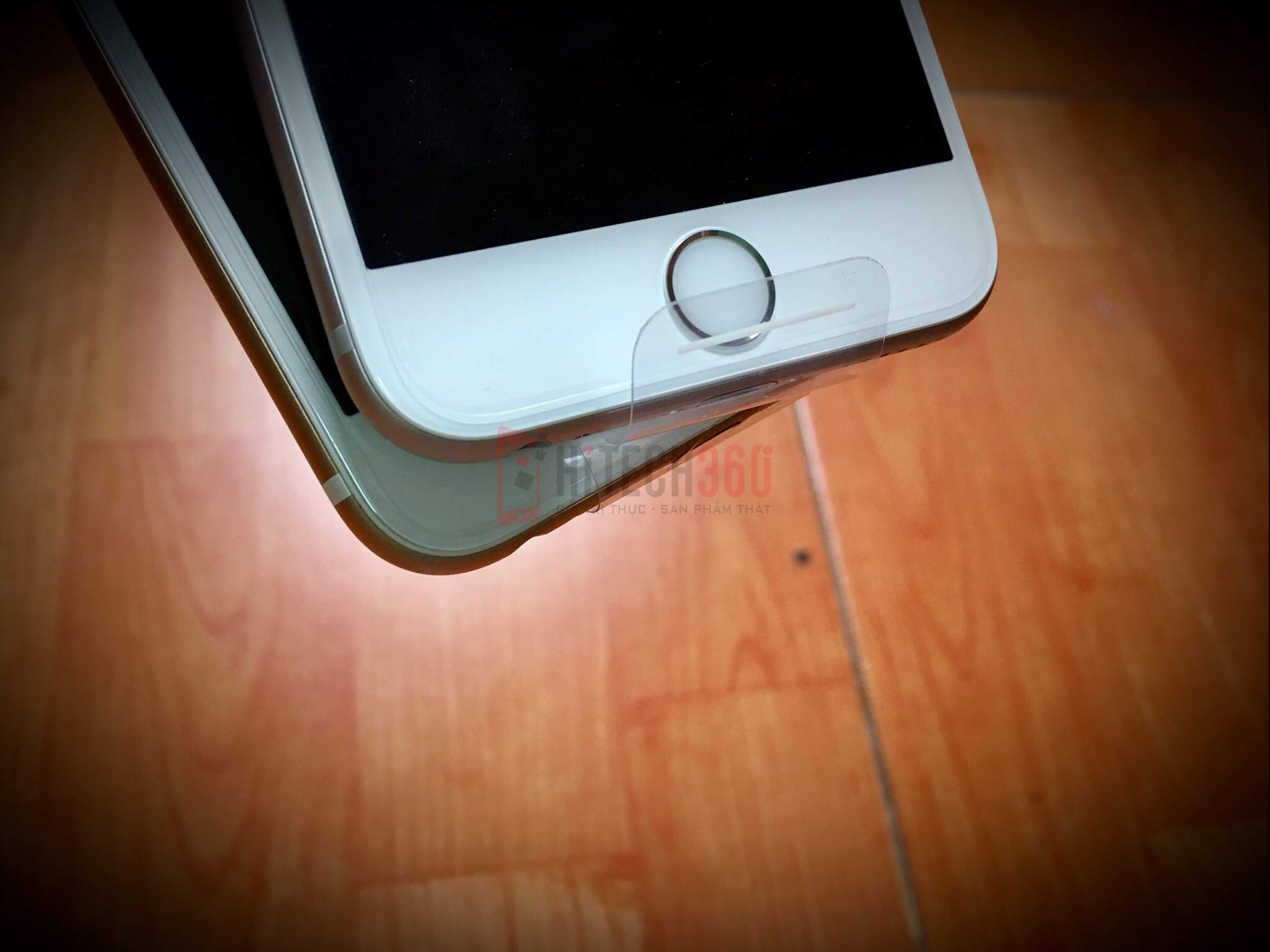 Watermarked9(2017-04-13-1259).jpg