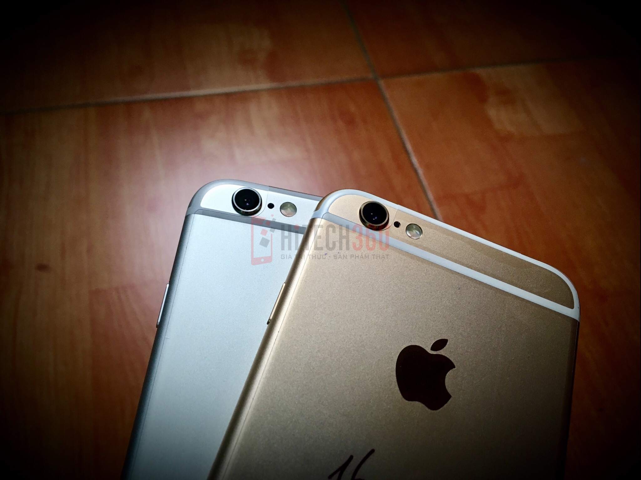 Watermarked10(2017-04-13-1259).jpg