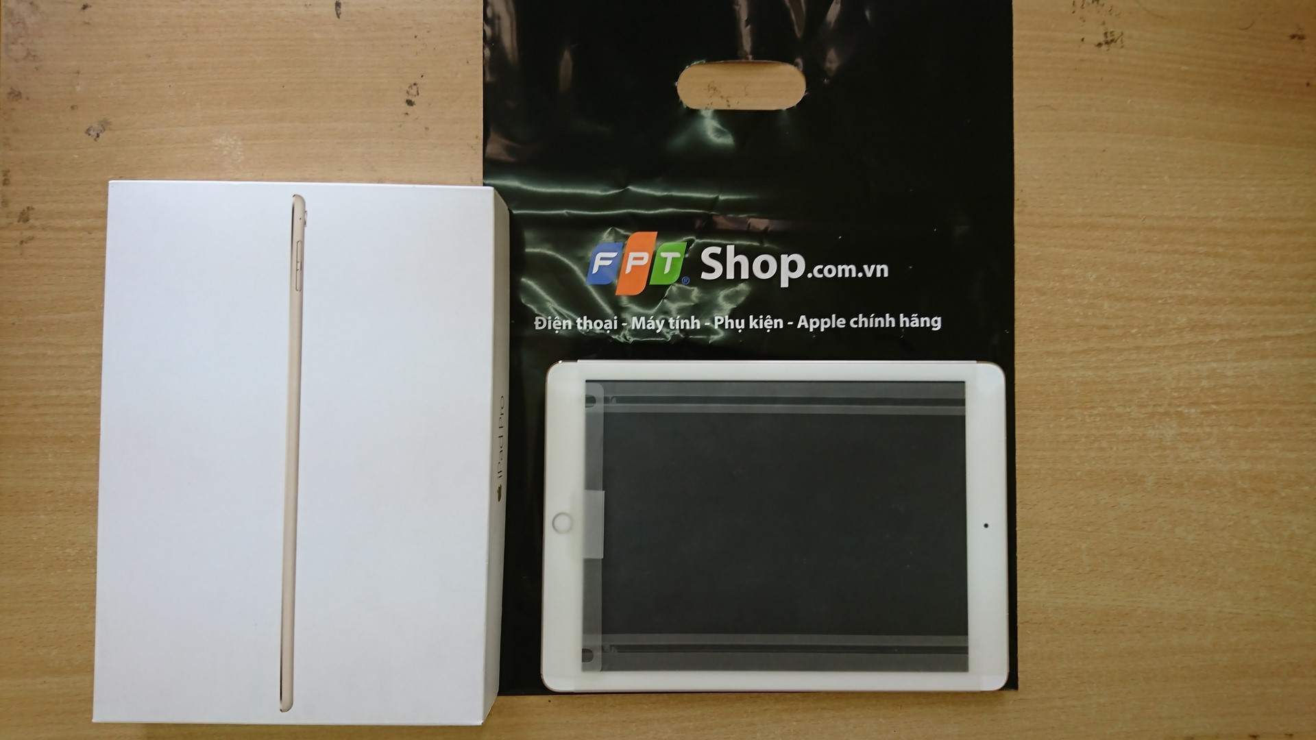 pro 1 (Copy).JPG