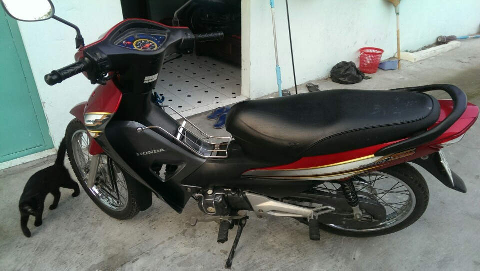 bf36eb686e052348dacdd836d518937b.jpg