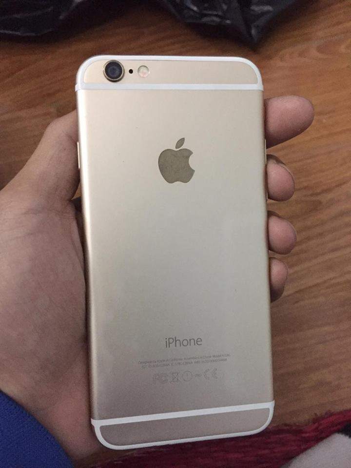 16558491_1654885718140980_858511982_n.jpg