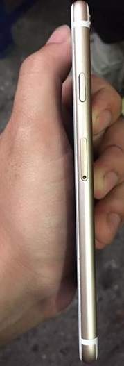 17903574_1014226655375032_91533465955331258_n.jpg
