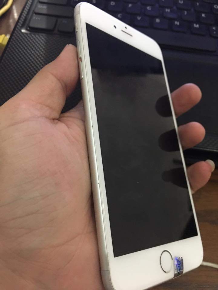 18010938_1682794848397634_174045711927016082_n.jpg