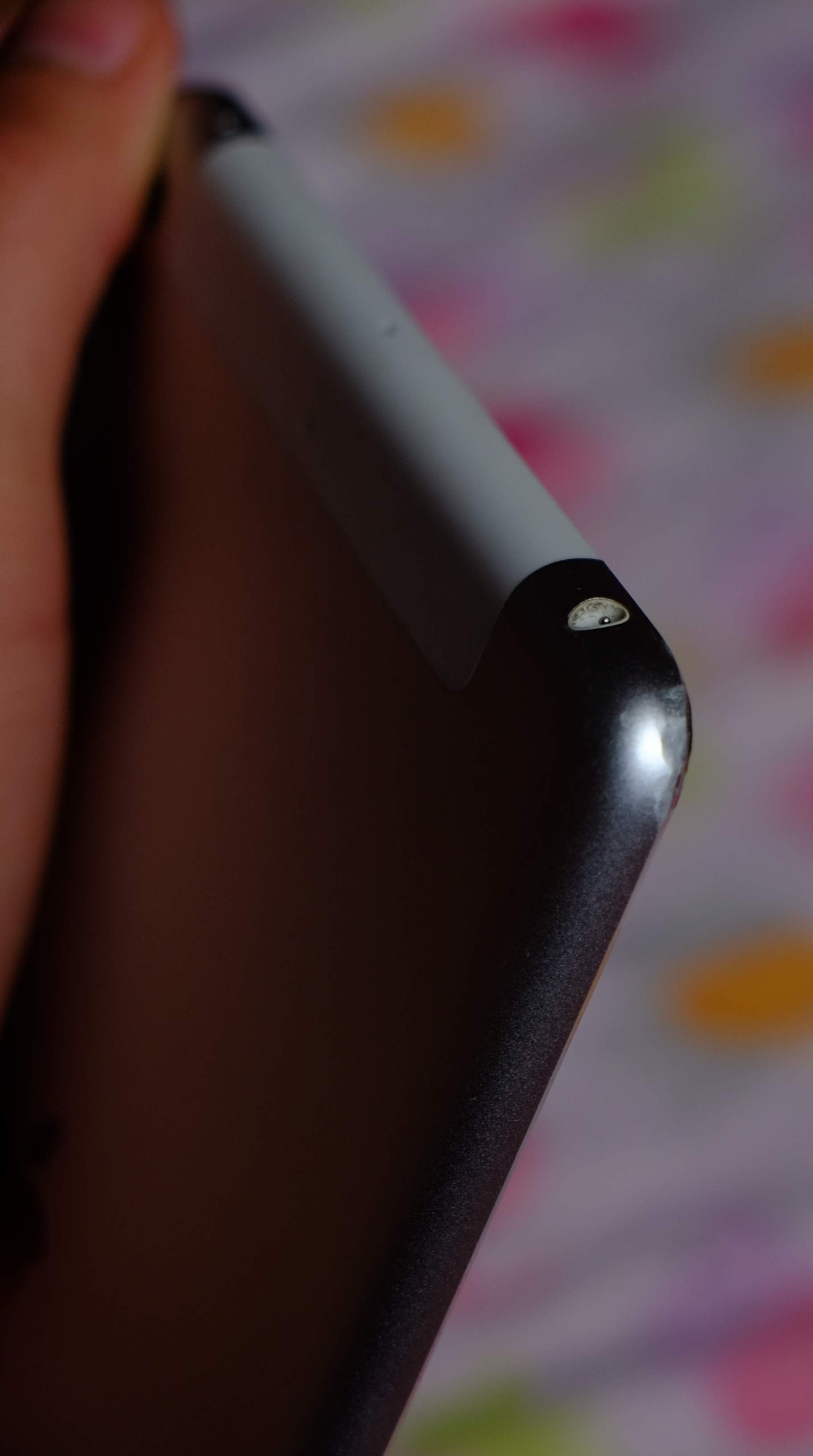 FUJI4578.JPG