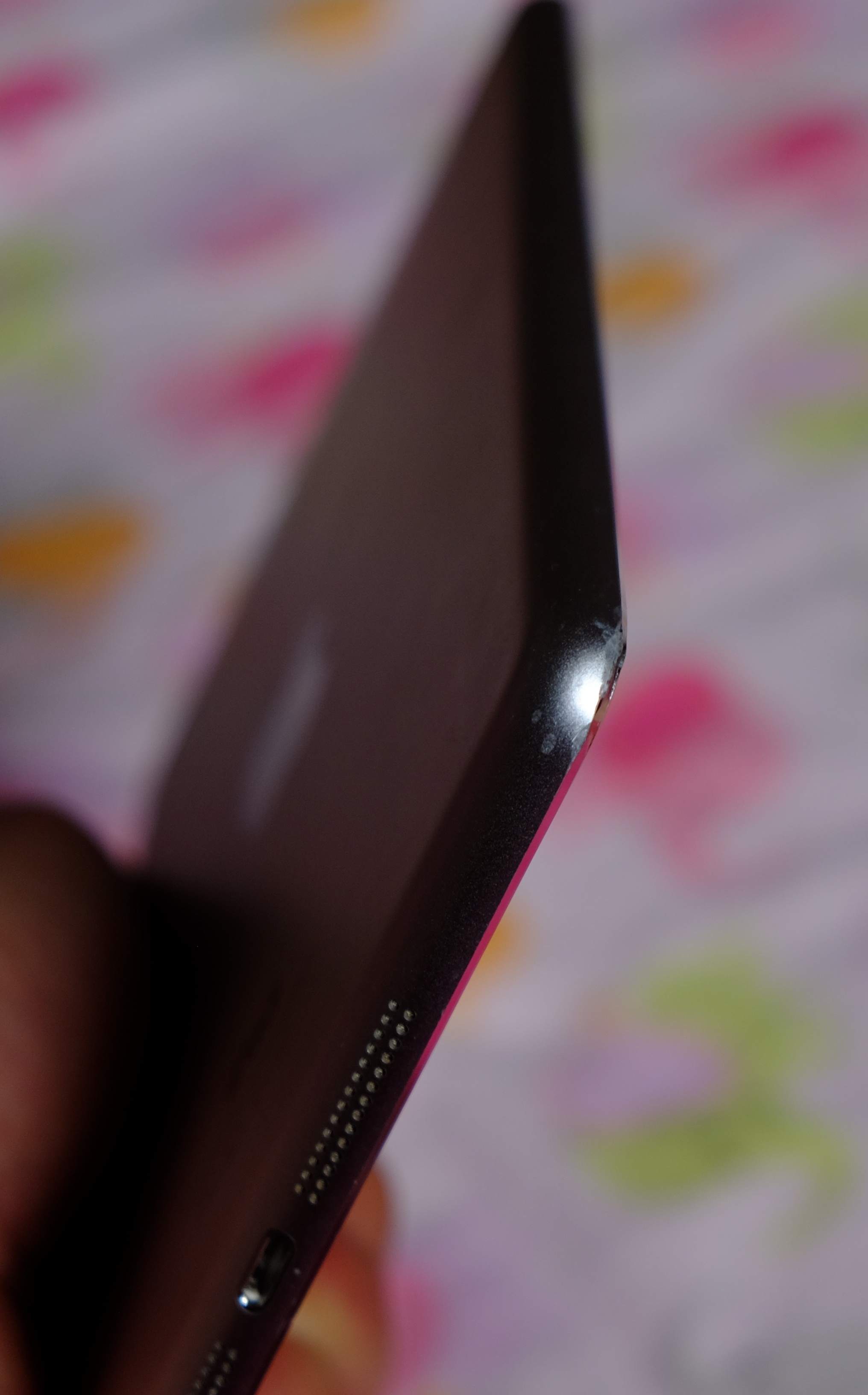 FUJI4583.JPG