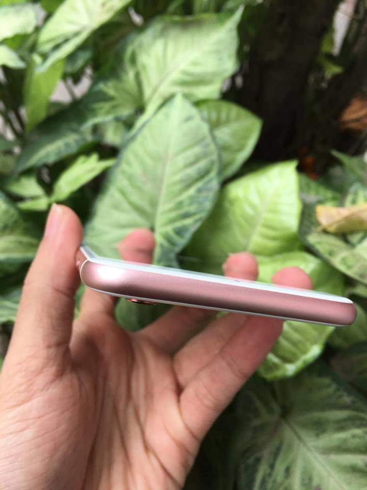 16684630_1594454757236788_2146655124_n.jpg