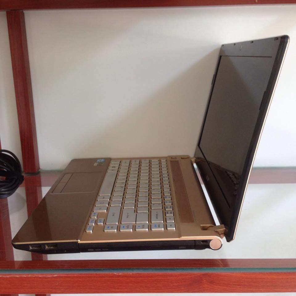 acer5.jpg