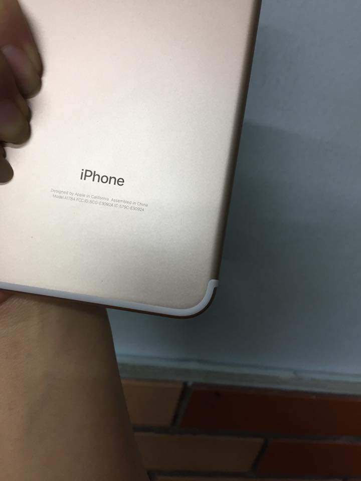 8047301_4539133953a88671e34f19b0c1cfe97c.jpg